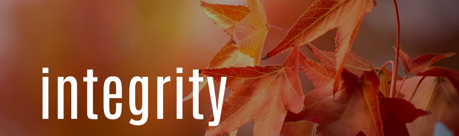 integrity-itil-isms